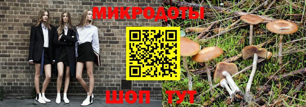 Галлюциногенные грибы прущие грибы  Вход с VPN  Сызрань 