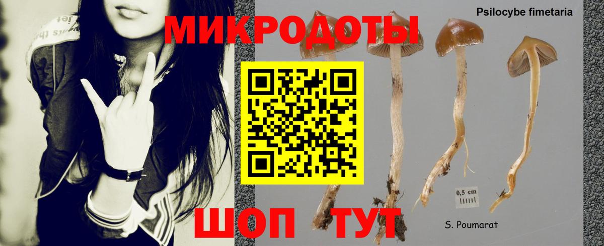 Галлюциногенные грибы мицелий Сызрань